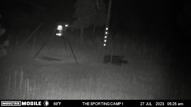 The Sporting Camp - Texas Hog Hunting